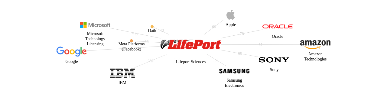 Lifeport Sciences 보유 US 특허를 거절시키는데 사용된 선행 특허 보유 기업 네트워크 데이터 기준일 20240101 그림