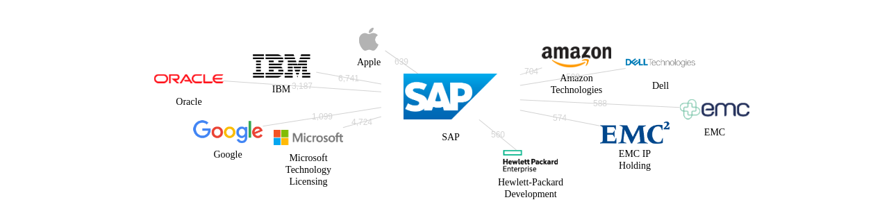 SAP 보유 US 특허가 인용reference하는 선행 특허 보유 기업 네트워크 데이터 기준일 20240101 그림