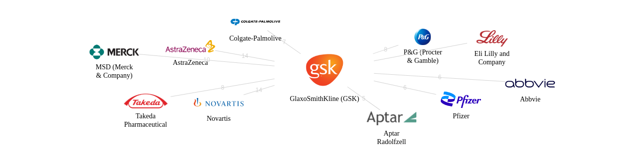 GSK 보유 US 특허를 거절시키는데 사용된 선행 특허 보유 기업 네트워크 데이터 기준일 20240101 그림