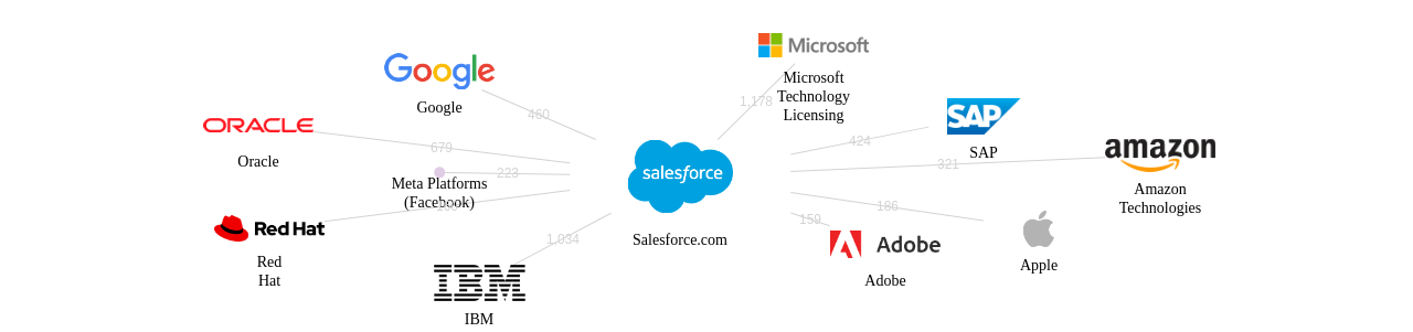 세일즈포스닷컴 보유 US 특허를 거절시키는데 사용된 선행 특허 보유 기업 네트워크 데이터 기준일 20240101 그림