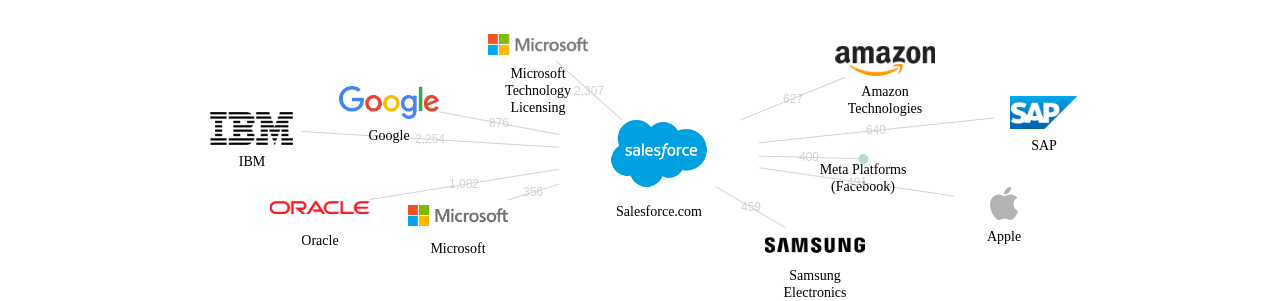 세일즈포스닷컴 보유 US 특허가 인용reference하는 선행 특허 보유 기업 네트워크 데이터 기준일 20240101 그림