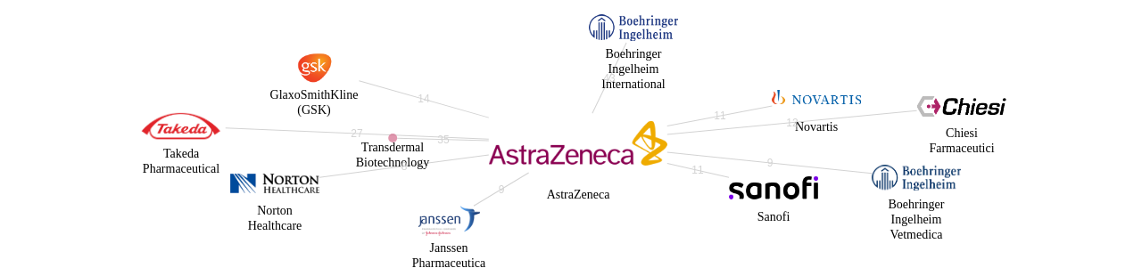 AstraZeneca 보유 US 특허가 거절시키는데 사용된 후행 특허 보유 기업 네트워크 데이터 기준일 20240101 그림