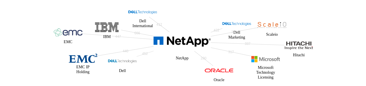 NetApp 보유 US 특허를 거절시키는데 사용된 선행 특허 보유 기업 네트워크 데이터 기준일 20240101 그림