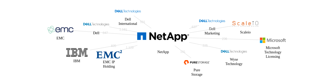 NetApp 보유 US 특허가 거절시키는데 사용된 후행 특허 보유 기업 네트워크 데이터 기준일 20240101 그림