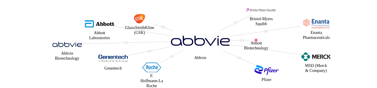Abbvie 보유 US 특허를 거절시키는데 사용된 선행 특허 보유 기업 네트워크 데이터 기준일 20240101 그림