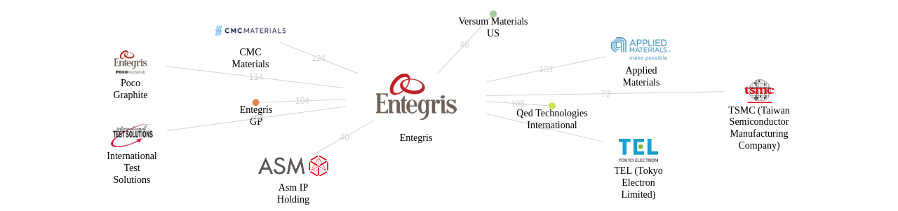 Entegris 보유 US 특허가 거절시키는데 사용된 후행 특허 보유 기업 네트워크 데이터 기준일 20240101 그림