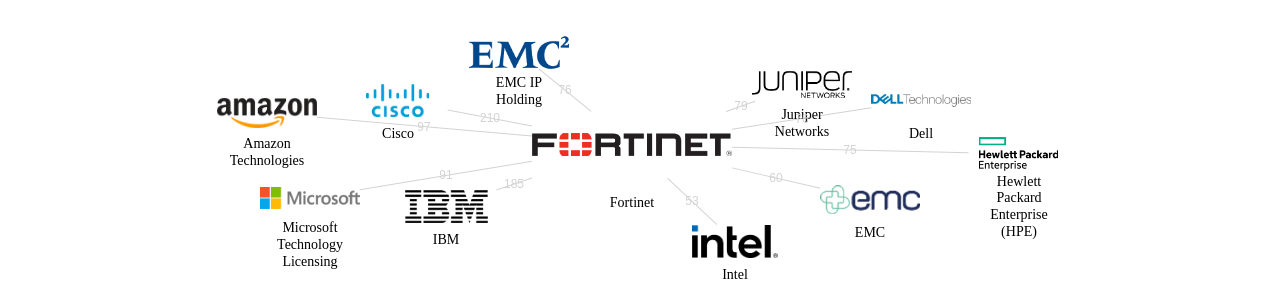 Fortinet 보유 US 특허를 피인용forward citation하는 후행 특허 보유 기업 네트워크 데이터 기준일 20240101 그림