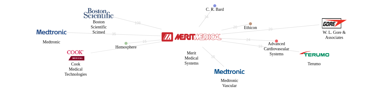 Merit Medical Systems 보유 US 특허를 거절시키는데 사용된 선행 특허 보유 기업 네트워크 데이터 기준일 20240101 그림