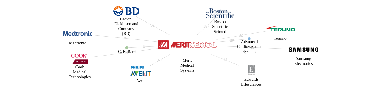 Merit Medical Systems 보유 US 특허를 피인용forward citation하는 후행 특허 보유 기업 네트워크 데이터 기준일 20240101 그림