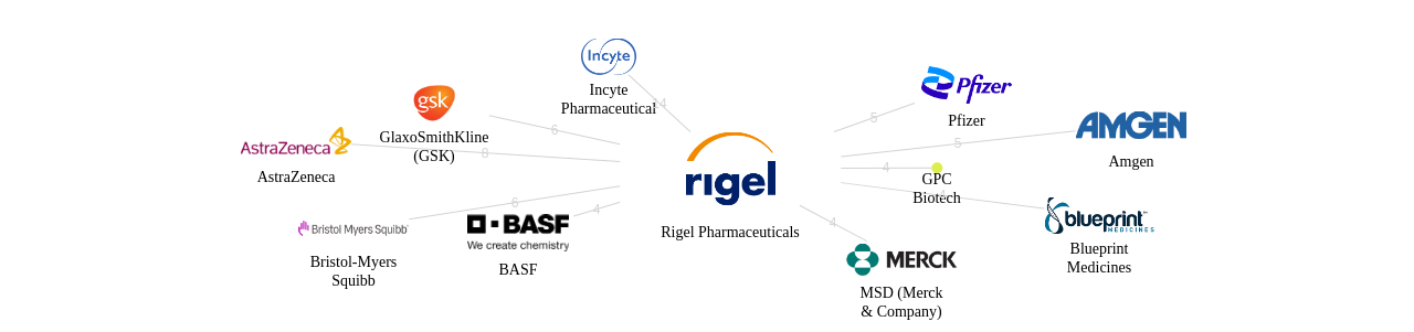 Rigel Pharmaceuticals 보유 US 특허가 인용reference하는 선행 특허 보유 기업 네트워크 데이터 기준일 20240101 그림