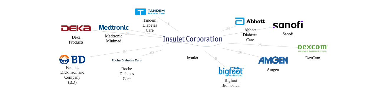 Insulet 보유 US 특허가 거절시키는데 사용된 후행 특허 보유 기업 네트워크 데이터 기준일 20240101 그림
