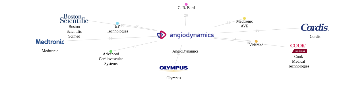 AngioDynamics 보유 US 특허가 인용reference하는 선행 특허 보유 기업 네트워크 데이터 기준일 20240101 그림