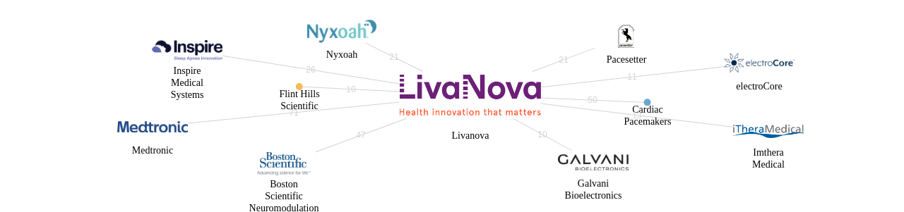 Livanova 보유 US 특허가 거절시키는데 사용된 후행 특허 보유 기업 네트워크 데이터 기준일 20240101 그림