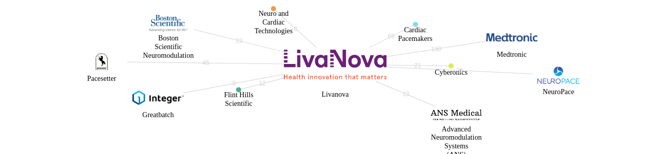 Livanova 보유 US 특허가 인용reference하는 선행 특허 보유 기업 네트워크 데이터 기준일 20240101 그림