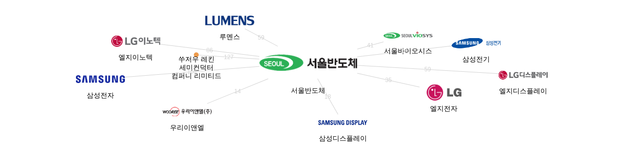 서울반도체 보유 KR 특허를 피인용forward citation하는 후행 특허 보유 기업 네트워크 데이터 기준일 20240101 그림